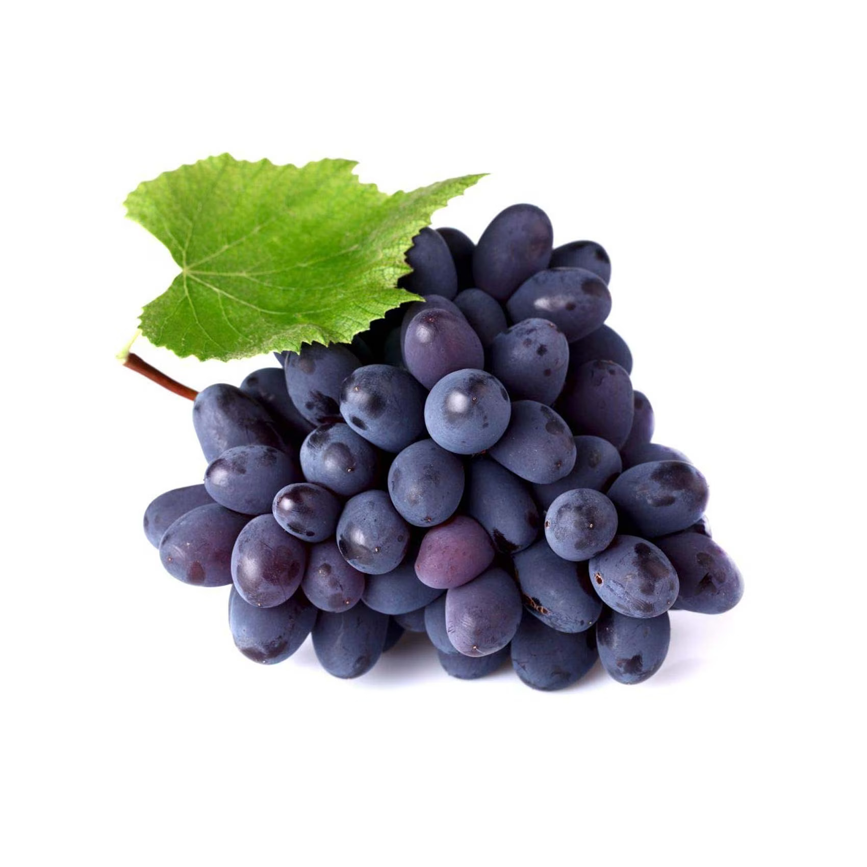 عنب أسود
